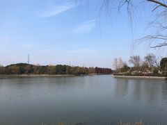 -九科绿洲