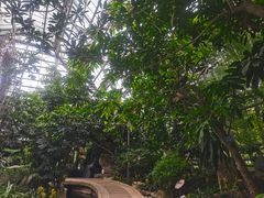 -南山植物园