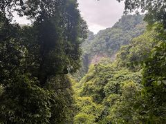 -青城山