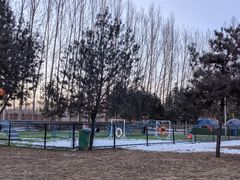 -宠乐会宠物乐园