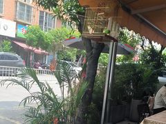 -满格嗦新疆椒麻鸡火锅.炒米粉(川大江安校区店)