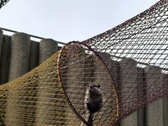 -宁波儿童公园(鄞州区)
