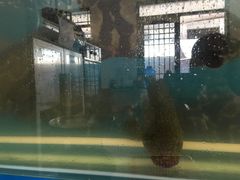 -芽庄老成都川菜馆