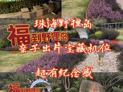 -野狸岛