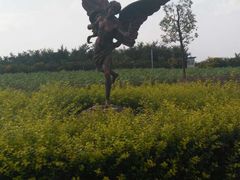 -紫颐香薰山谷景区