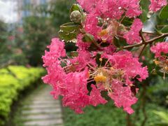 -晓港公园