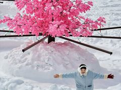 -叠溪松坪沟景区