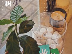 -村口大树(长乐路店)