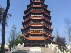 -铁山坪森林公园