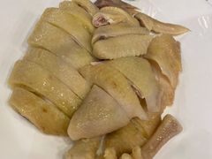 六婶白切清远鸡-六婶西关小厨(光塔路店)