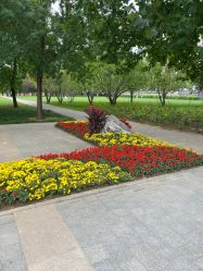 点击看大图 -大望京儿童游乐场