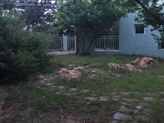 -浮山香苑