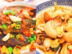 -龙小海荆沙鸽子店(瑞安街店)