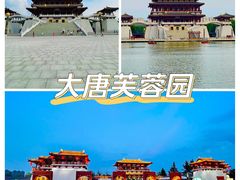 -首都机场t3-c国航两舱休息室