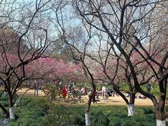 -杭州植物园