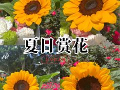 -深圳龙潭公园