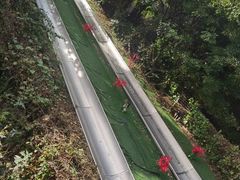 -富斯特索道
