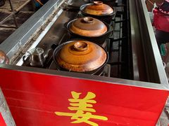 -百家春好德来姜母鸭