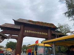 -北海金海湾红树林生态旅游区