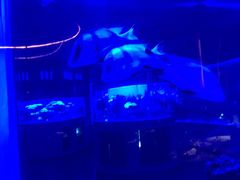 -上和臻品中国菜(花园街店)