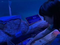 -暹罗海洋世界