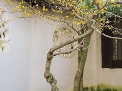 -沧浪亭
