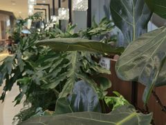-THE WOODS 简餐 (国贸商城店)