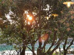 -时光花园(白鹭洲店)