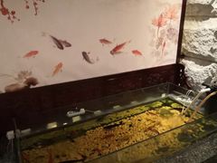 -樱蘭·影院足道·养生SPA(三里屯店)