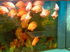 -新碧水留香新桑拿