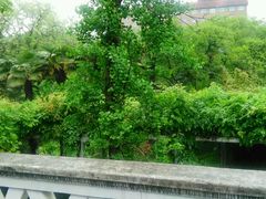 -叶家花园