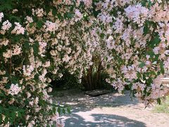 -国家植物园南园