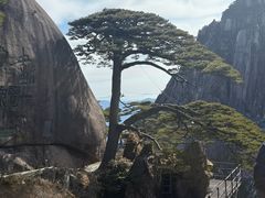 -黄山玉屏楼宾馆餐厅