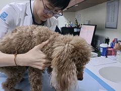 -美联众合动物医院·24h转诊中心