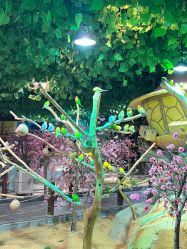 -酷嗒动物文化乐园(cutezoo西溪乐天城店)