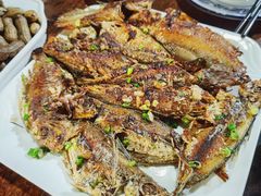 -四季美蚝皇