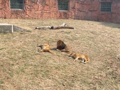 -无锡动物园·太湖欢乐园