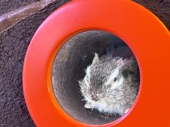 -苏州青少年科技馆