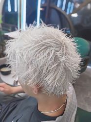 -秦·专注剪发