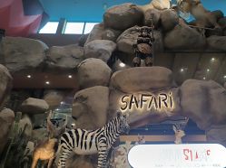 -卡通尼·Safari非洲探索乐园·生日会(金桥国际商业广场店)