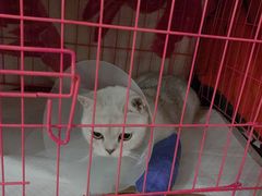-美联众合动物医院·24h京西诊疗中心