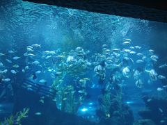 -南昌海洋公园