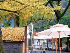 -四明山国家森林公园