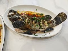 -金海湾海鲜排档(朱家尖店)