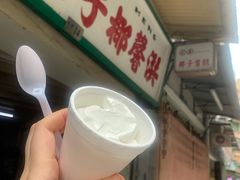 -洪馨椰子