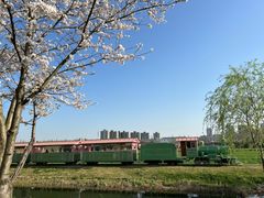 -长田漾湿地公园