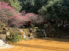 -兰溪地下长河
