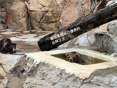-珠海长隆海洋王国