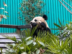 -乐和乐都主题乐园