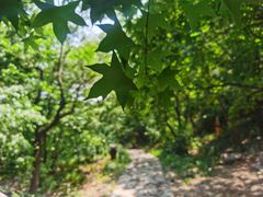 -阳台山自然风景区